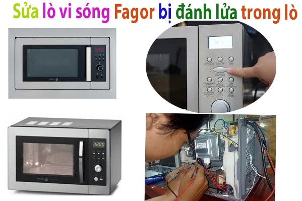 Lò Vi SÓng Fagor Bị Đánh Lửa Trong Lò