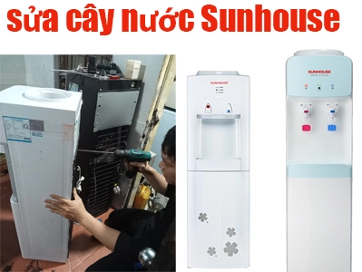 sửa cây nước Sunhouse không có nóng