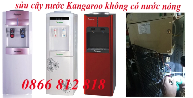 sua cay nuoc kangaroo khong co nuoc nong sua cay nuoc kangaroo khong co nuoc nong