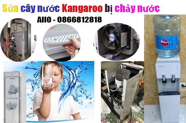 sửa cây nước kangaroo bị rò nước tại hà nội