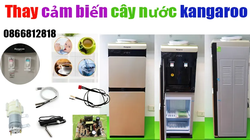 thay cẩm biến cây nước Kangaroo tại hà nội