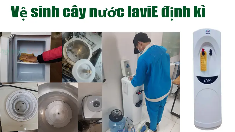 Vệ Sinh Cây Nước Nóng Lạnh Lavie Tại Nhà 