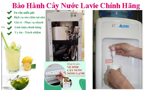bao hanh cay nuoc lavie chinh hang tai ha noi