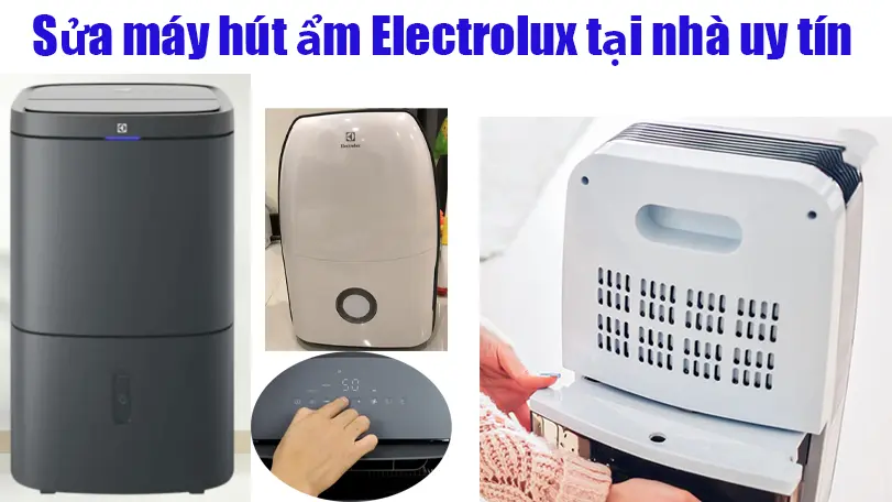 Sửa máy hút ẩm Electrolux tại nhà uy tín nhất.