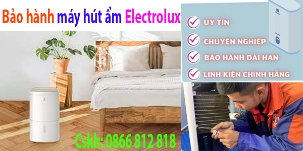 bảo hành máy hút aamrelectrolux tai ha noi