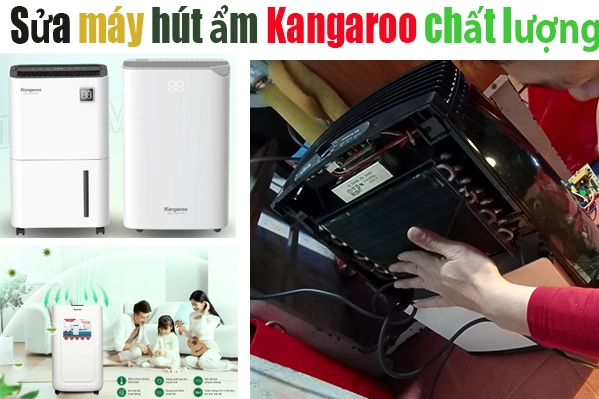 bảo hành máy hút ẩm Kangaroo tại hà nội