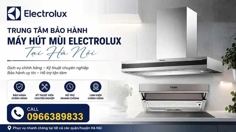 Trung Tâm Bảo Hành Máy Hút Khử Mùi Electrolux