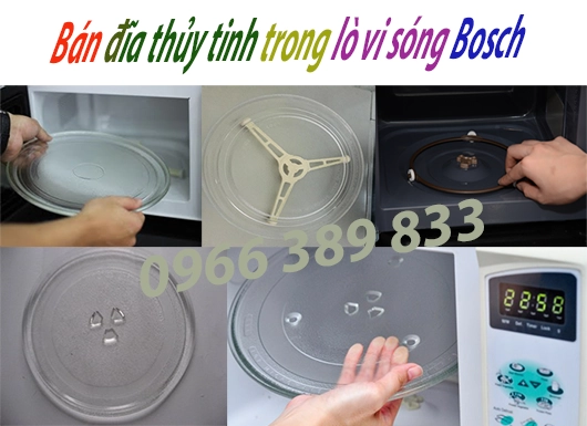 ban dia lo vi song bosch tai ha noi