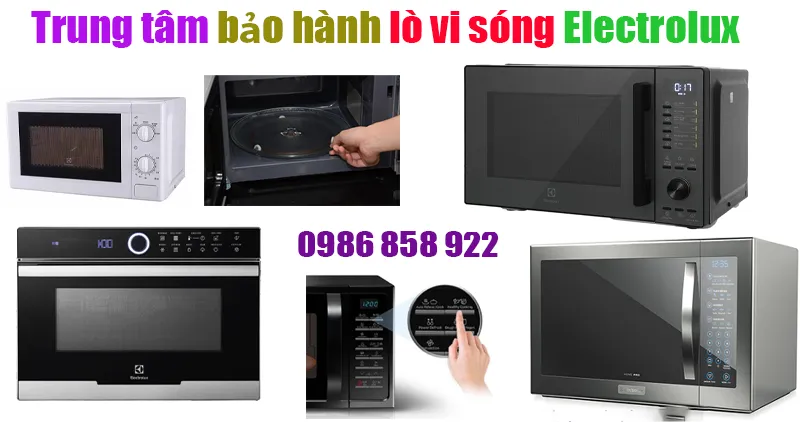 trung tâm bảo hành lò vi sóng Electrolux
