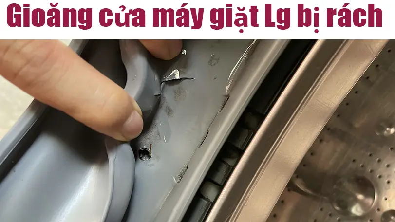 Sửa máy giặt Lg hỏng rách gioăng cửa tại Hà Nội