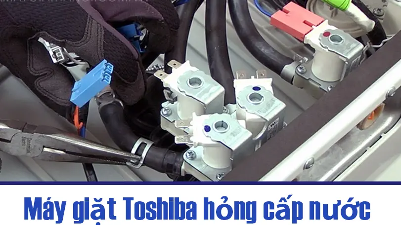 Thay cấp nước máy giặt Toshiba uy tín giá tốt