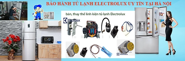 trung tam bao hanh tu lanh electrolux tai ha noi