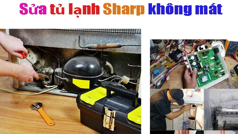 sua-tu-lanh-sharp-khong-mat-tai-ha-noi