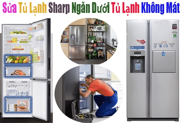 Sửa Tủ Lạnh Sharp Ngăn Dưới Tủ Lạnh Không Mát 