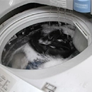 Sửa Máy Giặt Hitachi Không Cấp Nước tại Hà Nội