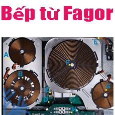 Trung Tâm Bảo Hành Bếp Từ Fagor Tại Hà Nội